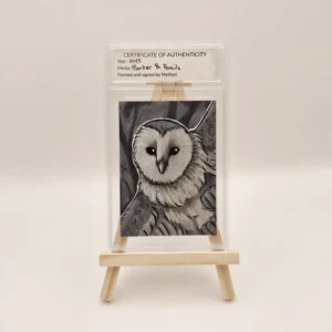 Mini Original "Owl"
